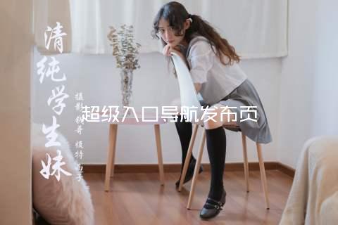 超级入口导航发布页